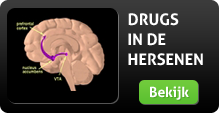 drugsindehersenen