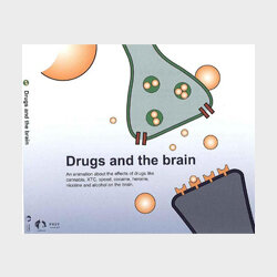 CD-rom met flash-presentatie: invloed van drugs op de hersenen voor 3de graad