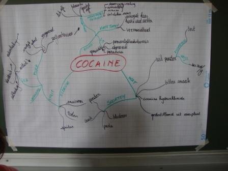 trainingblankenberge2011brainmapcocaine1