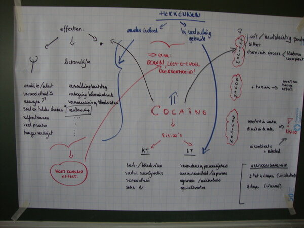trainingblankenberge2011brainmapcocaine2