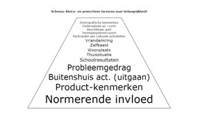 schema_factoren_onderzoek