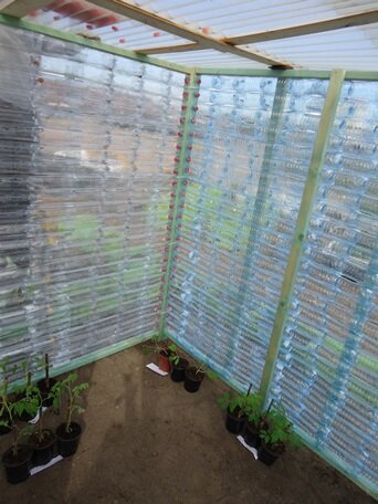 groenten uit gent web serre binnen