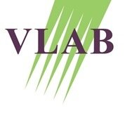 vlab