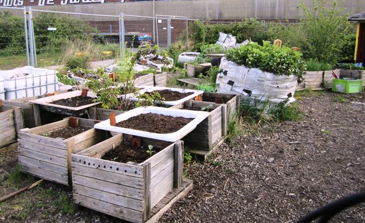 moestuin groenten uit gent