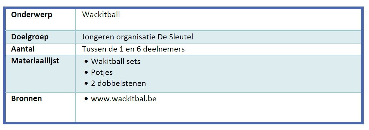 voorbereidingsfiche wackitball