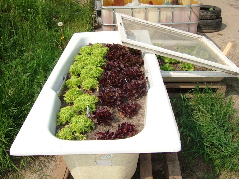 groentenuitgent web036