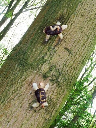P1070863 schildpad web