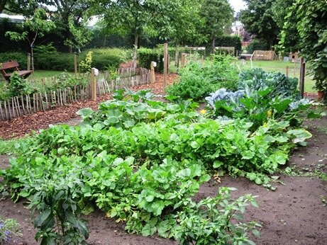 tuin tg gent web3