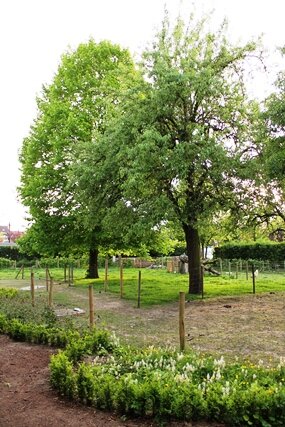 tuin tgg web 7